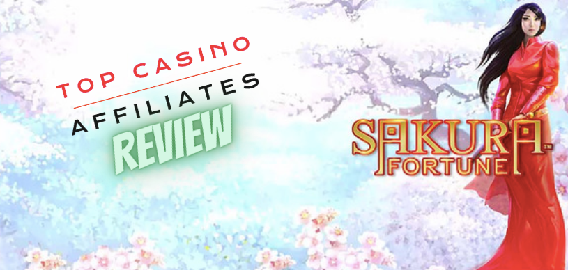 sakura fortune slot review